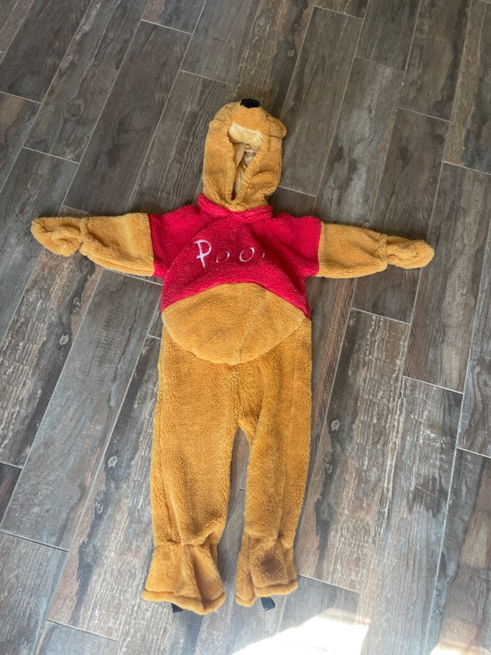 Disney Winnie the Pooh costume